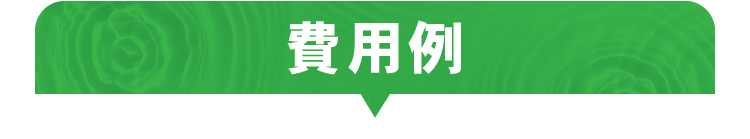 費用例